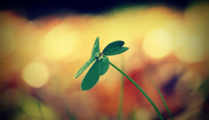 奥格斯堡球员多面手，全面开花