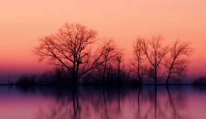 爱尔兰代表团获得皮划艇铜牌！