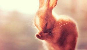 队内矛盾升级，主帅面临球员团结挑战