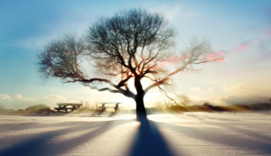 曼联逆转胜利，积攒宝贵胜利